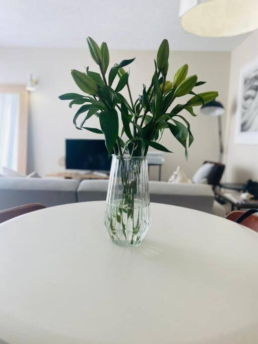 A Zen And Chic Beachfront Apartment Swakopmund Εξωτερικό φωτογραφία